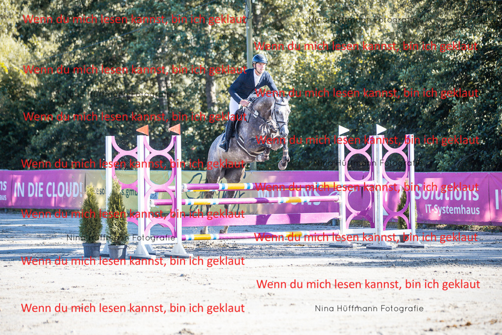 BK1A6010 | Turnierbilder Turnierfotos Nina Hüffmann Turnierfotografie Pferdefotografie Tierzeichnung Haustierzeichnung Pferdezeichnung Hundezeichnung Videograf  - Realisiert mit Pictrs.com
