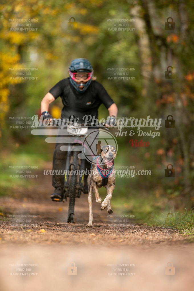 TSB_2023_E4_Bike-63 | PayLife