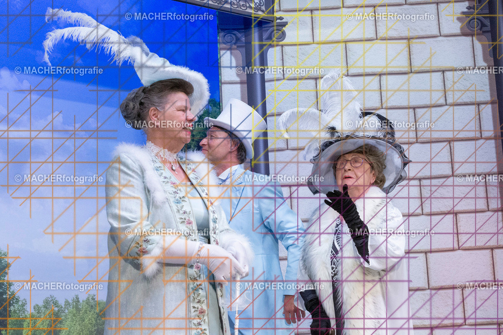 262_MFL-2025 | Portraitbilder von Regisseur; Darsteller; Techniker; Maske; Kostüme; Chor; Musiker; Bilderserie der Generalprobe und der Premierenvorstellung, Szenenbilder; Ausdrucksstudien; Bühnenüberblick; Bühnenkulissen; Pressefotos inkl. Redaktionsfoto Darstellergruppe.