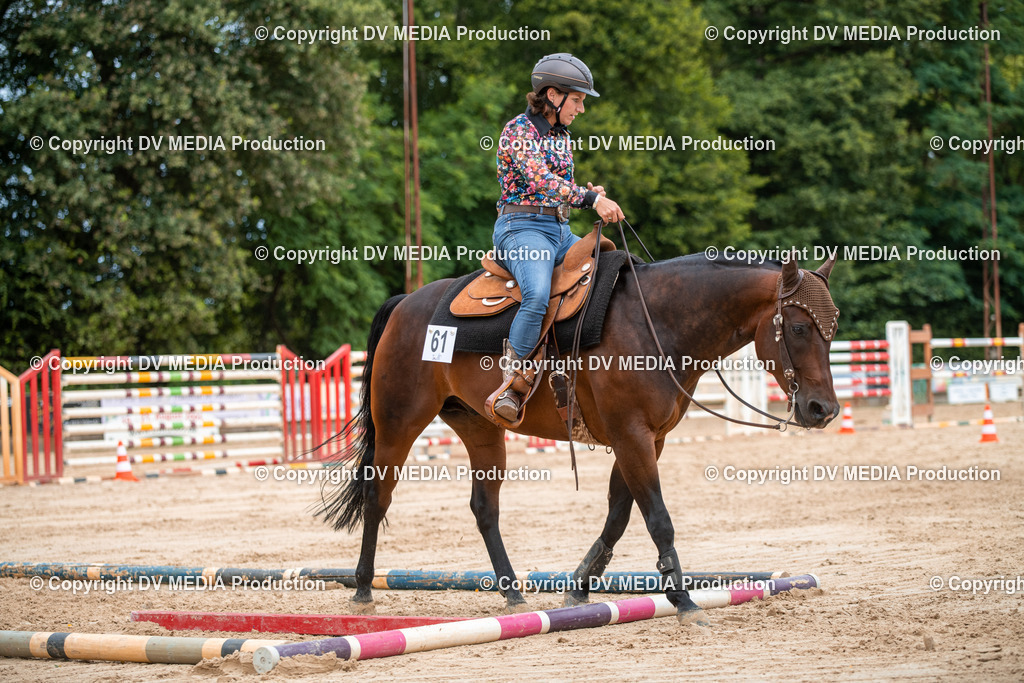 ZS2_8572 | dv-media-shop - Realisiert mit Pictrs.com