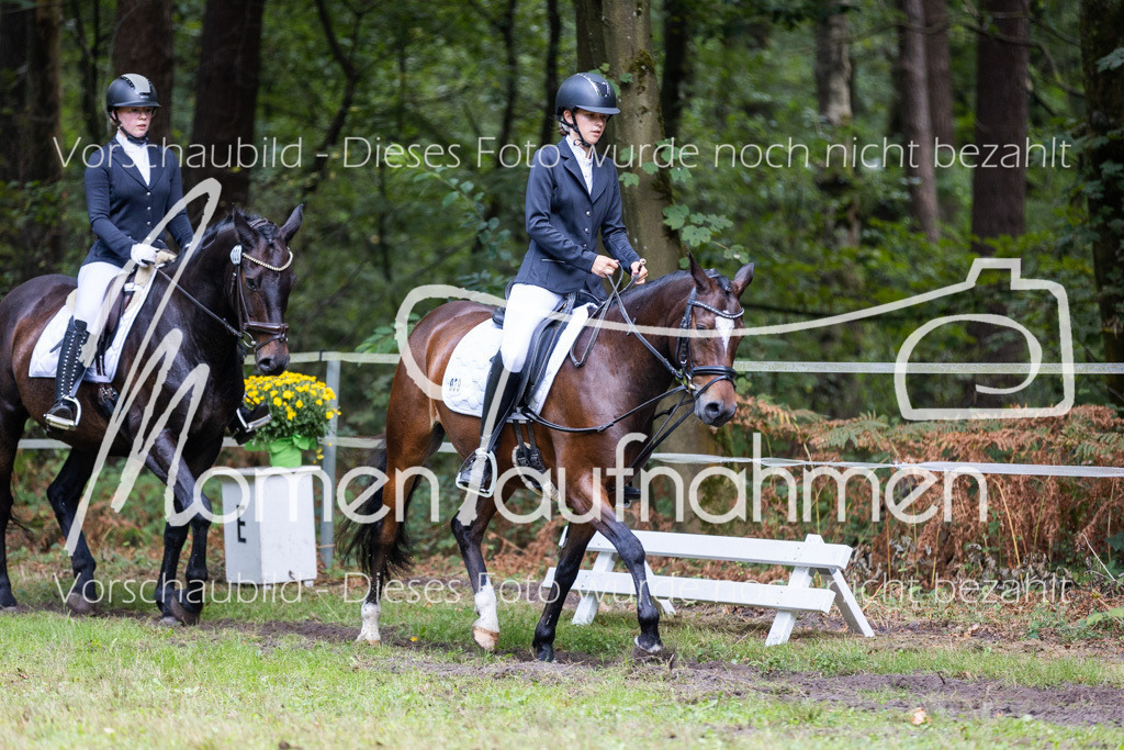 HB-Dressur-WB-028 | MomenTaufnahmen Pferdesportfotos