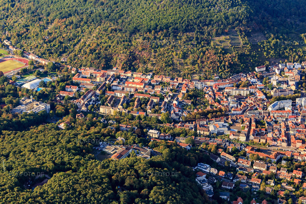 Luftbild: Ortsteil Schöntal im Speyerbachtal in Neustadt an der Weinstraße im Bundesland Rheinland-Pfalz in Deutschland. Foto: IMG_111788.jpg vom 16.09.2018 durch Werner Riehm/FLY-FOTO.de