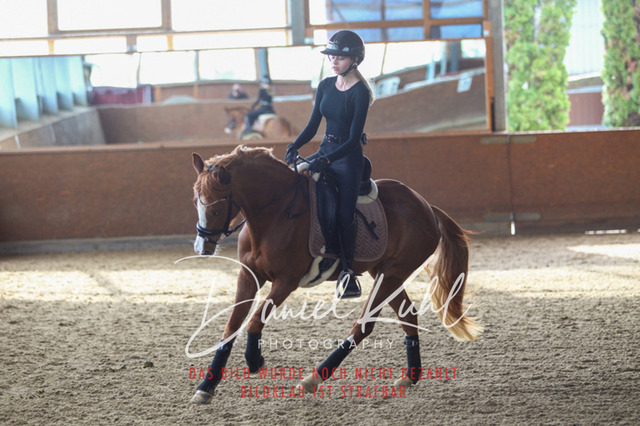DKP42613 | Turniersportfotografie; Pferdefotografie; Dressurfotografie