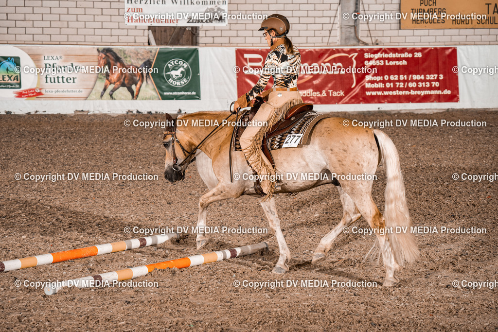 ZH200549 | dv-media-shop - Realisiert mit Pictrs.com