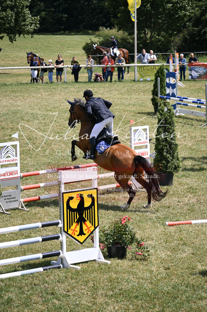 DSC_9481 | Pferde- und Turnierfotografie in Westsachsen. Pferdeportraits, Auftragszeichnungen und intuitive Kunst.