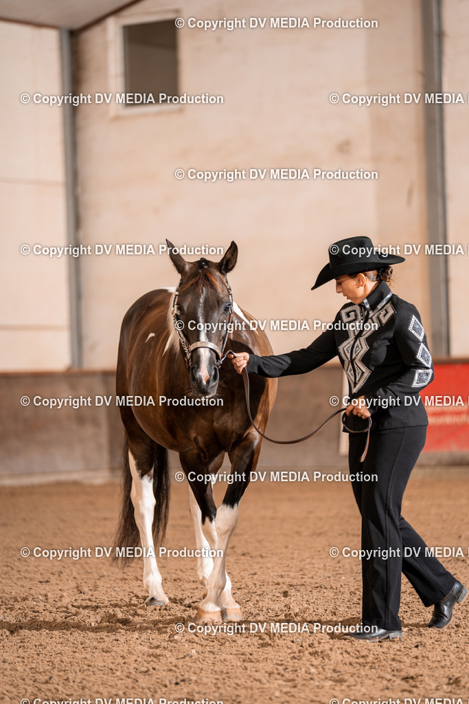 LM Heiligenwald Tag 1-17 | dv-media-shop - Realisiert mit Pictrs.com