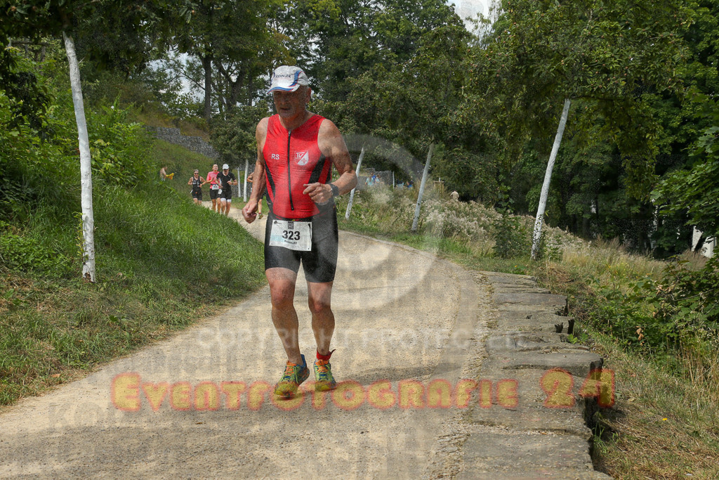 250824_1341_EX1_3237 | Sportfotografie im Rhein-Sieg Kreis, Köln, Bonn, NRW, Rheinland Pfalz, Hessen, etc. Unser Tätigkeitsfeld umfasst den Laufsport vom Volkslauf über den Marathon, Duathlon, Triathon bis zum Ultralauf wie Kölnpfad Ultra oder Schindertrail.