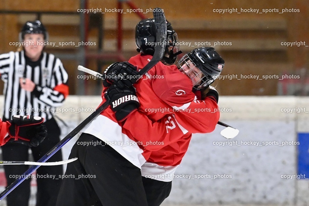 BST_3584 | hockey sports photos, Pressefotos, Sportfotos, hockey247, win 2day icehockeyleague, Handball Austria, Floorball Austria, ÖVV, Kärntner Eishockeyverband, KEHV, KFV, Kärntner Fussballverband, Österreichischer Volleyballverband, Alps Hockey League, ÖFB, 