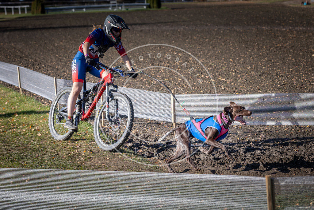 CaniXpix_DV3A7232 | Hundefotografie, Tierfotograf, Pfotenfotografie, Fotoshooting Hund, Hunde Portrait, Hundesport, Hundeportraits, Heideshooting, Hunde, Sportfotograf, Hundefotograf, Turnierhundsport, THS,  - Realisiert mit Pictrs.com
