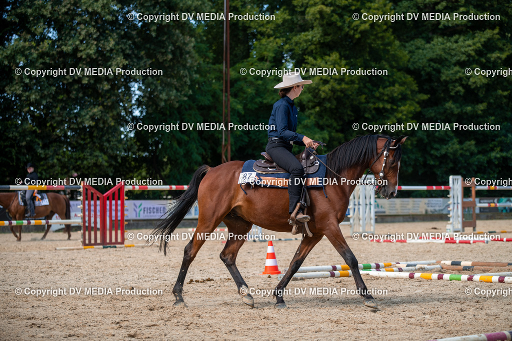 EWP_6874 | dv-media-shop - Realisiert mit Pictrs.com