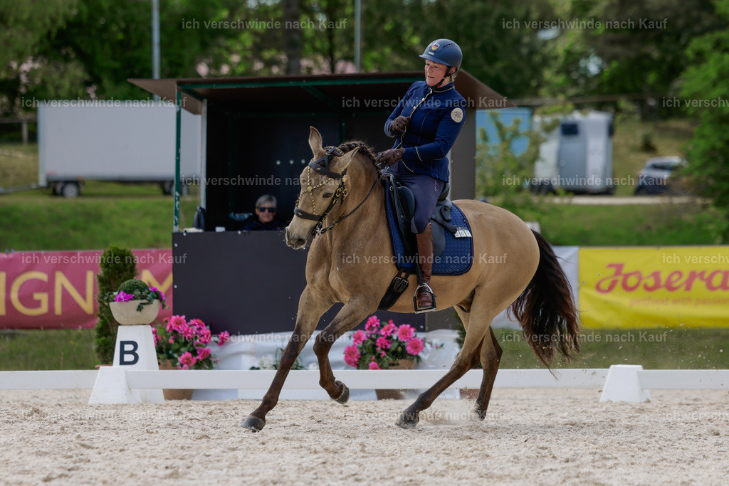 PI26_DR_269_Stoibphotography_AM10164.jpg | working equitationturnier fotograf videograf stoibphotography marixx film working equitation deutschland reitsport turnierfotografie eventfotografie equestrian events