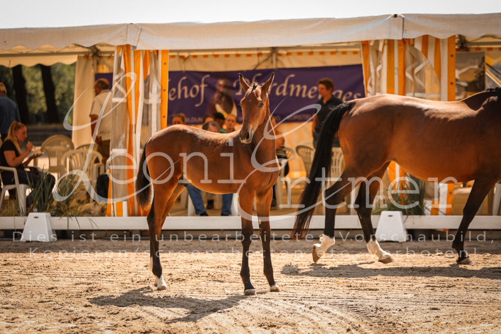 07.DoWBS00017 | Leoni Ertmer Photography - Realisiert mit Pictrs.com