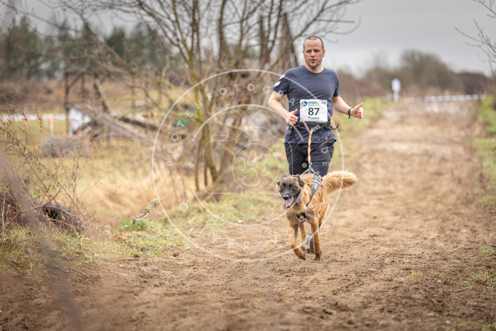 DV3A9925 | Hundefotografie, Tierfotograf, Pfotenfotografie, Fotoshooting Hund, Hunde Portrait, Hundesport, Hundeportraits, Heideshooting, Hunde, Sportfotograf, Hundefotograf, Turnierhundsport, THS,  - Realisiert mit Pictrs.com