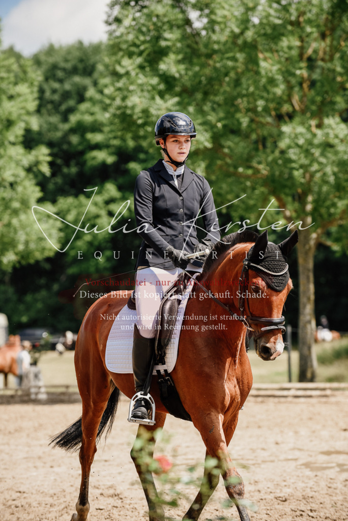 DSC_1753 | Pferde- und Turnierfotografie in Westsachsen. Pferdeportraits, Auftragszeichnungen und intuitive Kunst.