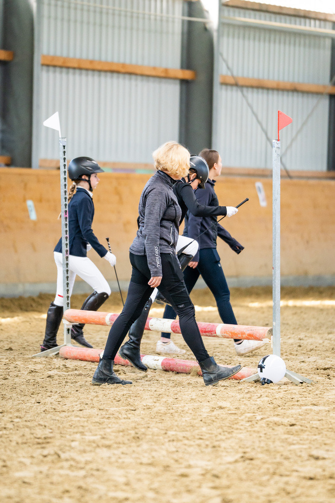 DSC01405 | Pferdegrafie