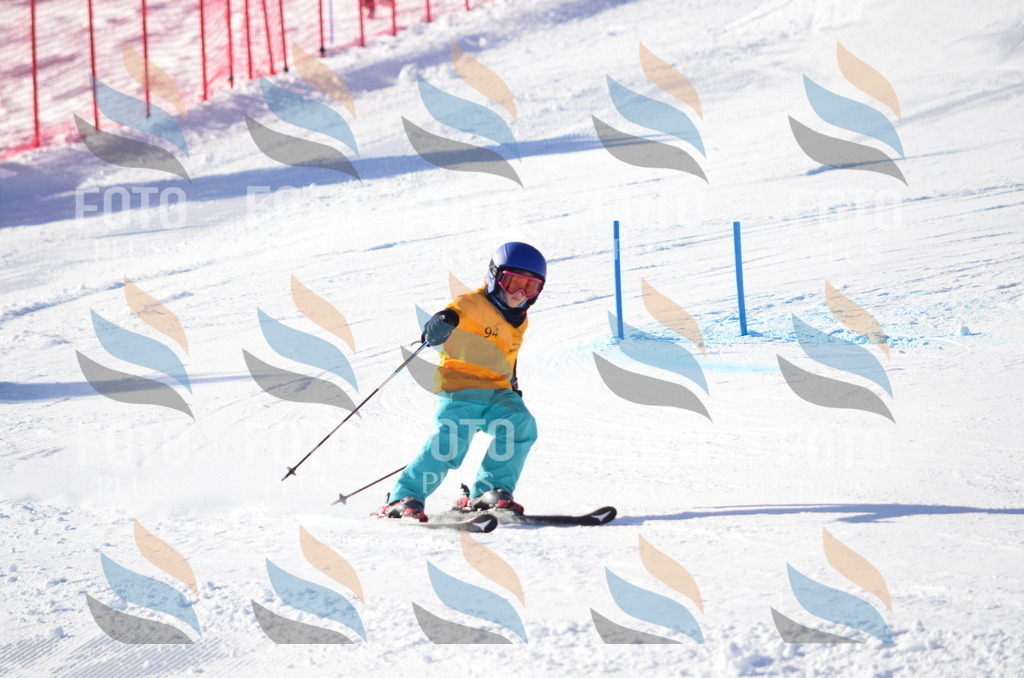 C6086 | holidayphoto