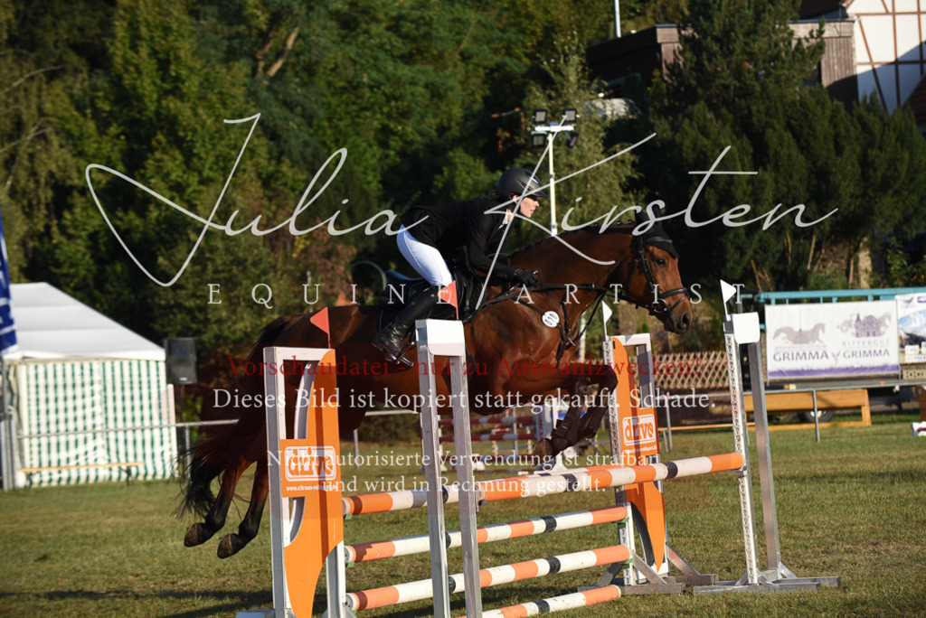 DSC_4817 | Pferde- und Turnierfotografie in Westsachsen. Pferdeportraits, Auftragszeichnungen und intuitive Kunst.