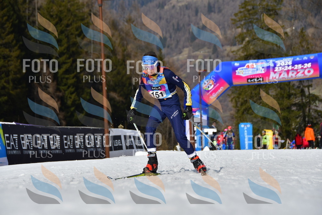 _DSC0309 | holidayphoto