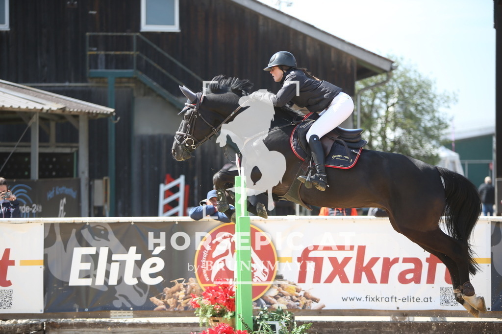 PP015111 | Willkommen bei Brunnmayr - Design & Fotografie – Ihrem Spezialisten für Reitturniere und Pferdeveranstaltungen in Oberösterreich, Salzburg und Bayern! Seit über 17 Jahren sind wir leidenschaftlich dabei.