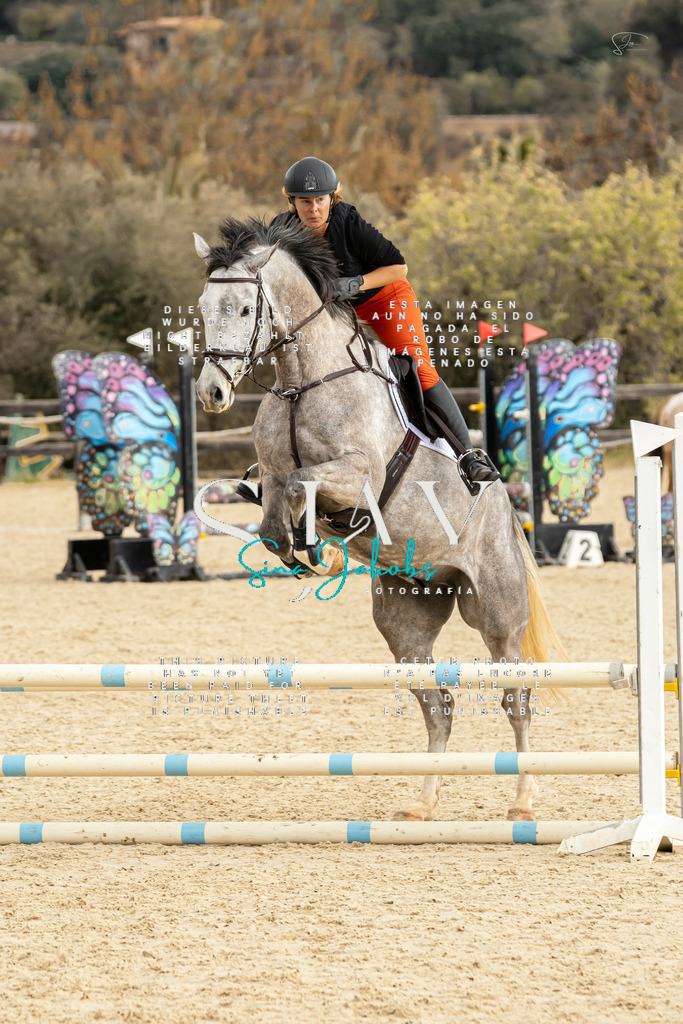 IMG_4563 | s-jay-photography - Realisiert mit Pictrs.com