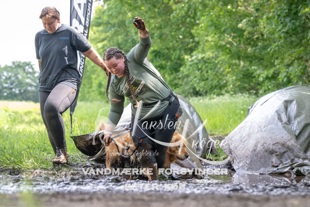 1242_ZZ93174 | kk-dogfotos