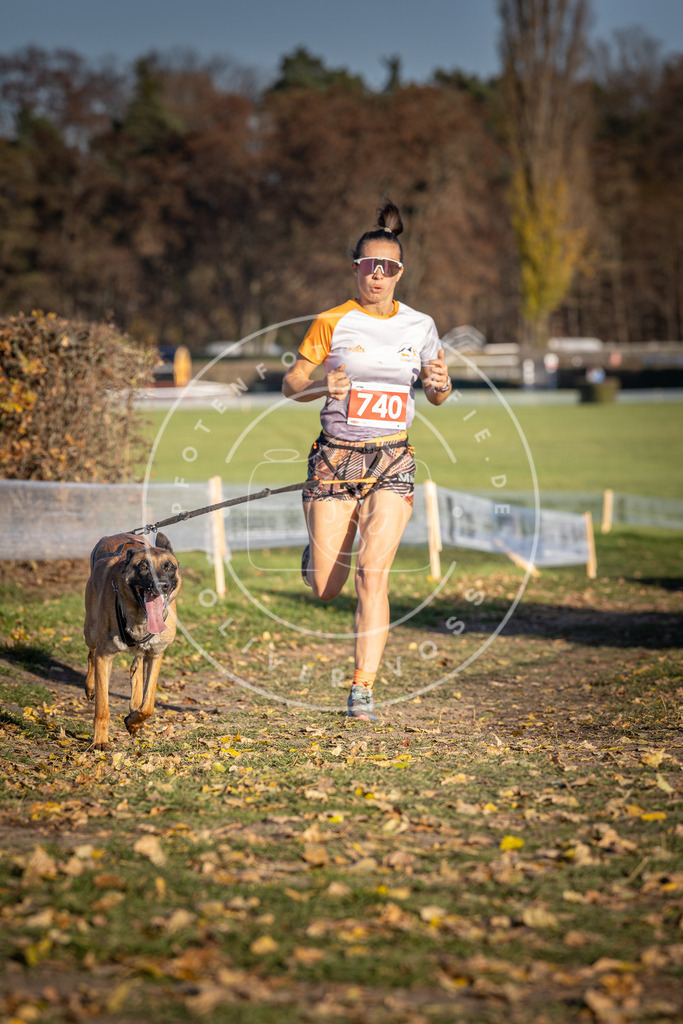 CaniXpix_DV3A2230 | Hundefotografie, Tierfotograf, Pfotenfotografie, Fotoshooting Hund, Hunde Portrait, Hundesport, Hundeportraits, Heideshooting, Hunde, Sportfotograf, Hundefotograf, Turnierhundsport, THS,  - Realisiert mit Pictrs.com