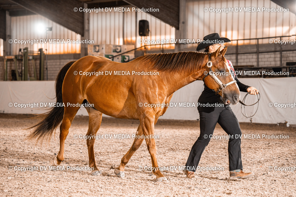 ZH100109 | dv-media-shop - Realisiert mit Pictrs.com