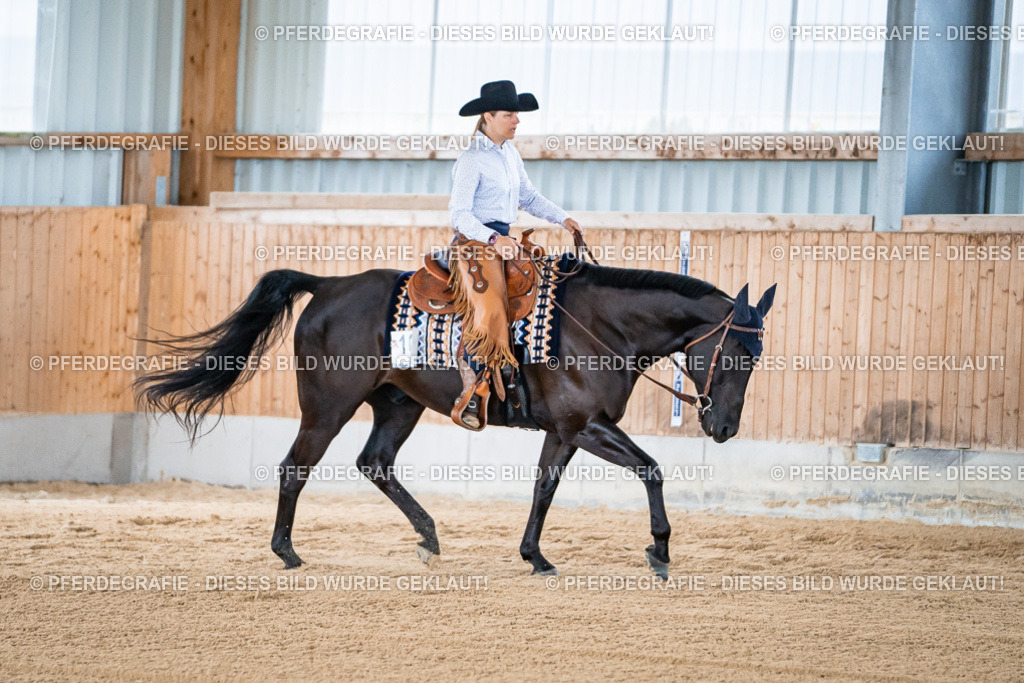 DSC08275 | Pferdegrafie