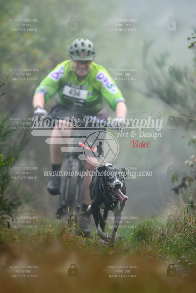 MompixPhotography_20TSB_E4_Bike-147 | PayLife