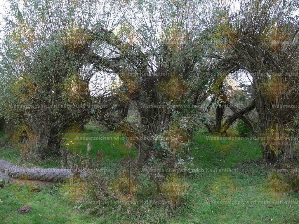 P1080443 | Fotoseite Wolkenblende - Das Hobby fotografieren begleitet mich schon  viele  Jahre. Auf den nächsten Seiten zeige ich ein paar Schnappschüsse der letzten Jahre und es kommen immer neue hinzu. Schau einfach mal rein. - Realisiert mit Pictrs.com