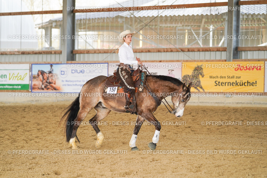 DSC01393 | Pferdegrafie