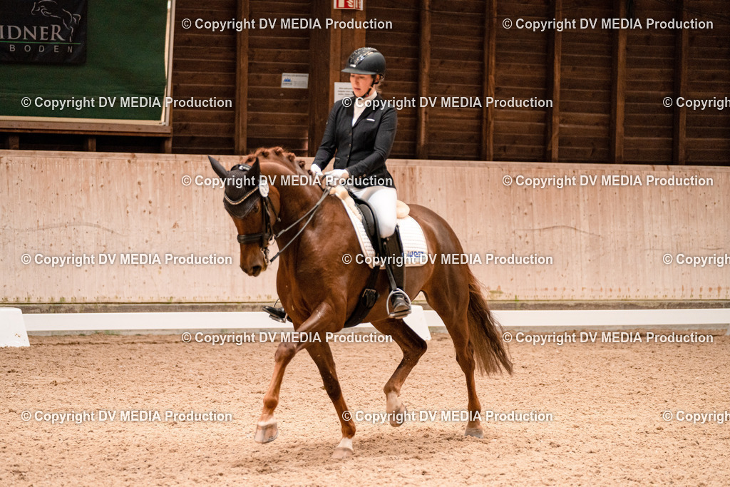 Dressur Tag 1 -232 | dv-media-shop - Realisiert mit Pictrs.com