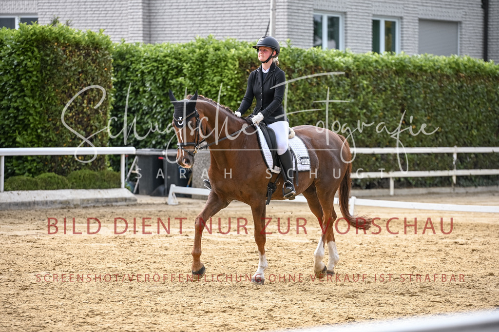 Schugtsche-Aluta25-55.Dressurreiterprf.L1Tr-224 | Schugtsche Fotografie - Realisiert mit Pictrs.com