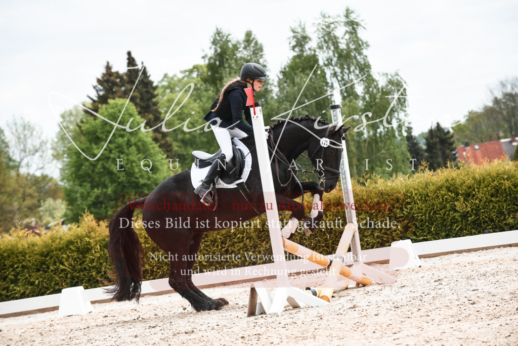 20230518_JK-Röhrsdorf-10-764 | Pferde- und Turnierfotografie in Westsachsen. Pferdeportraits, Auftragszeichnungen und intuitive Kunst.