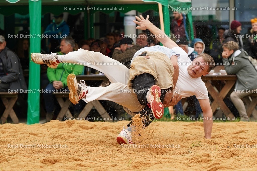 20220424-DSC09881 | René Burch leidenschaftlicher Fotograf aus Kerns in Obwalden.  Hier finden sie Sport, Landschaft und Natur Fotografie.
 - Realisiert mit Pictrs.com