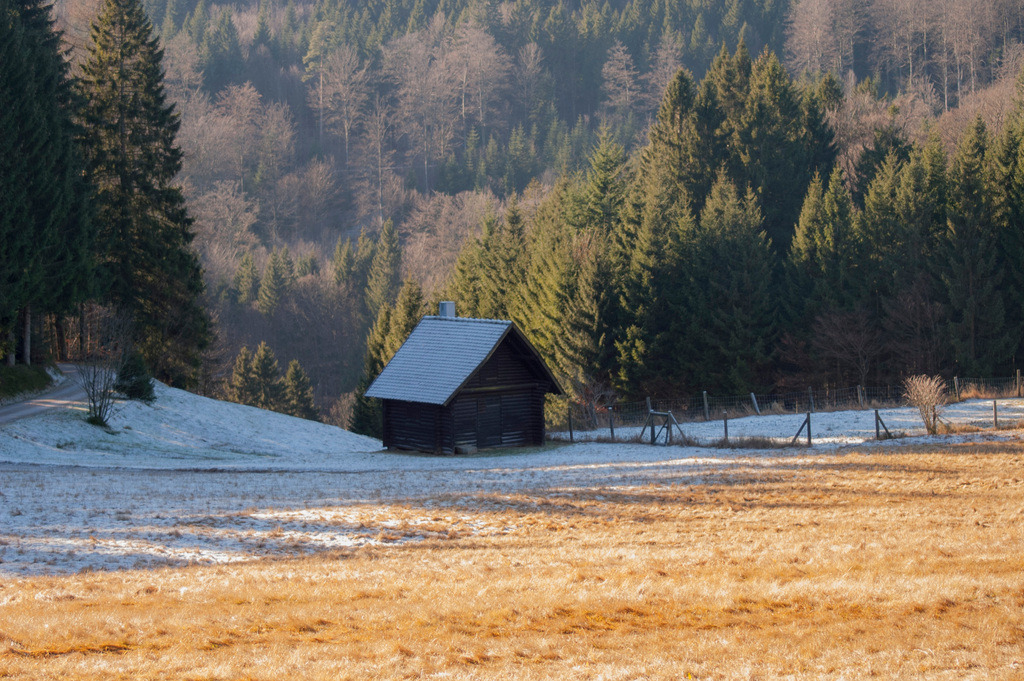 Wenn der Winter geht | KONICA MINOLTA DIGITAL CAMERA