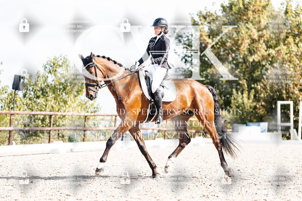 CK902368 | Turnierfotografie Pferdefotografie Trier Rheinland-Pfalz Pferdesport Reitsport Tierfotografie Sportfotografie Pferdevideo Pferdevideografie Equestrianvideography equestrianphotography  - Realisiert mit Pictrs.com