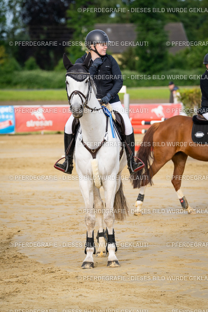 DSC03139 | Pferdegrafie