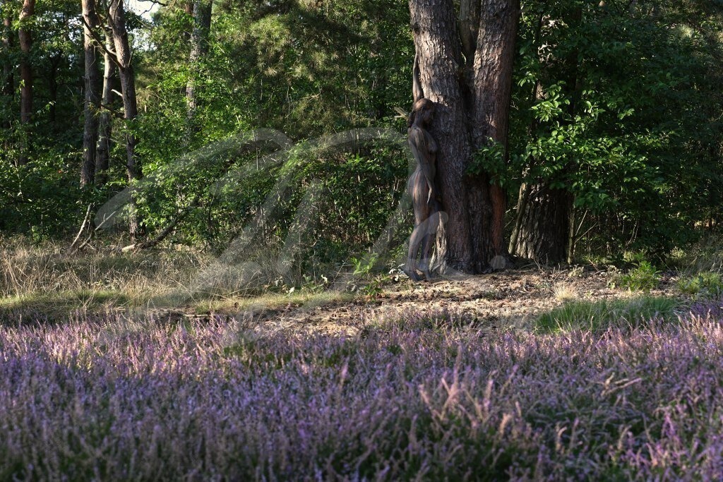 NatureArt-HEIDEBÄUME_9604a | Das Heidekraut blüht | #008 | Modell: Tina | Foto: Alexander Große-Strangmann - Realisiert mit Pictrs.com