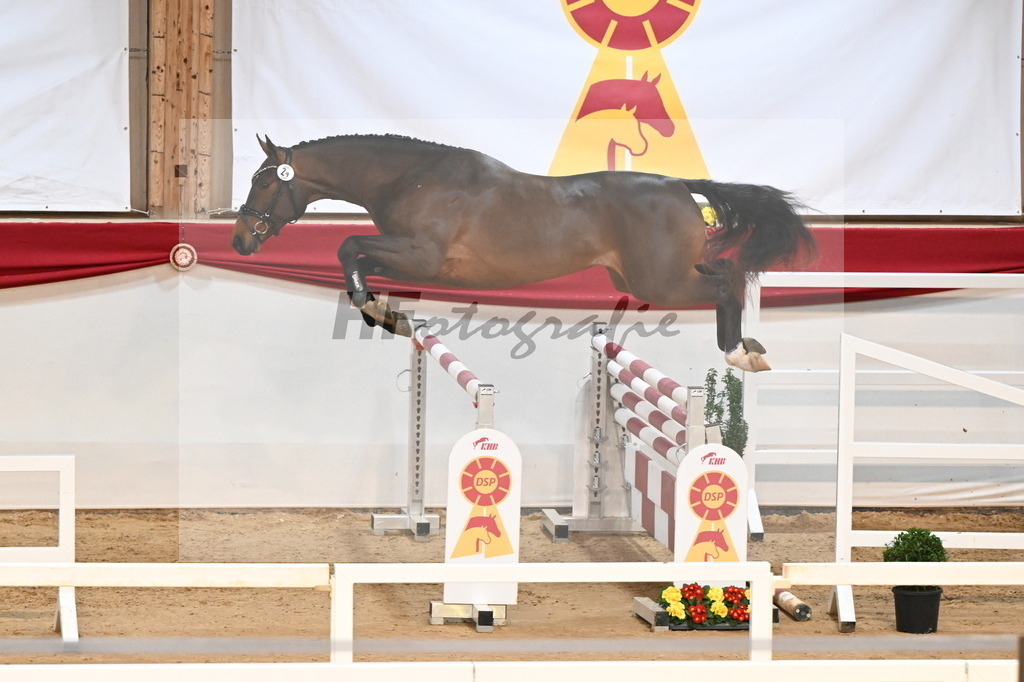 Kat.-Nr. 24 v. Jasper_Zeil_3261771 | hf-fotografie - Realisiert mit Pictrs.com