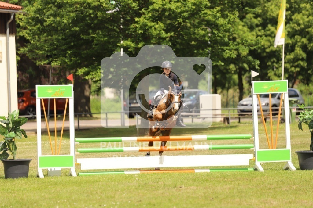 IMG_7486 | Pauline Ullmann Photography - Realisiert mit Pictrs.com