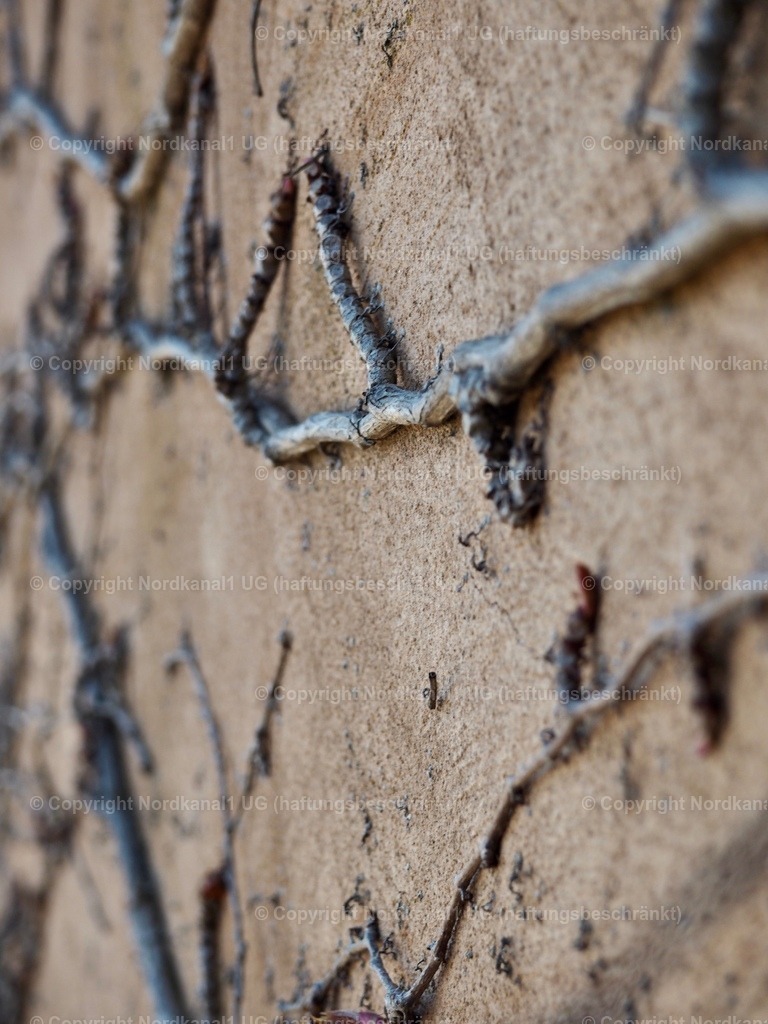 IMG_2871 | OLYMPUS DIGITAL CAMERA          - Realisiert mit Pictrs.com