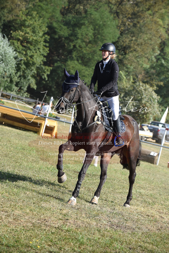 DSC_5398 | Pferde- und Turnierfotografie in Westsachsen. Pferdeportraits, Auftragszeichnungen und intuitive Kunst.