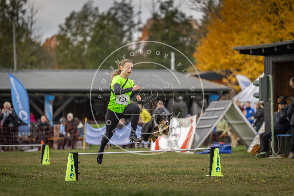 Pfotenfotografie_DV3A6606 | Hundefotografie, Tierfotograf, Pfotenfotografie, Fotoshooting Hund, Hunde Portrait, Hundesport, Hundeportraits, Heideshooting, Hunde, Sportfotograf, Hundefotograf, Turnierhundsport, THS,  - Realisiert mit Pictrs.com