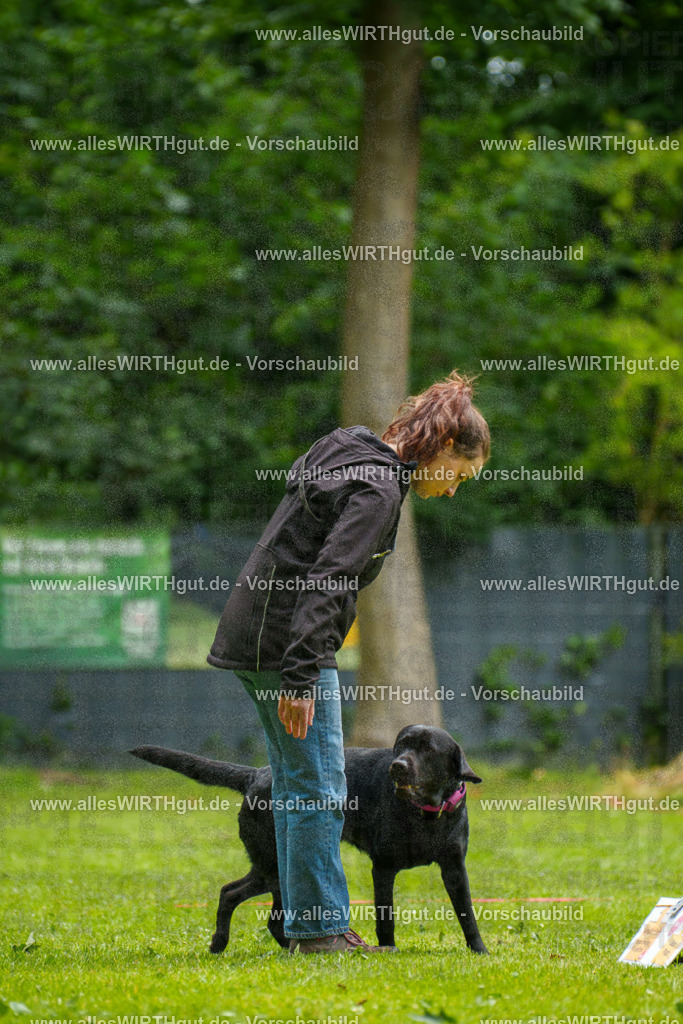 @allesWIRTHgut_Tierfotografie - www.allesWIRTHgut.de - 101600-7R508249 | Professionelle Tierfotografie in Mönchengladbach von Daniel Wirth (allesWIRTHgut). Liebevolle & natürliche Bilder von Hunden & Katzen für unvergessliche Erinnerungen.