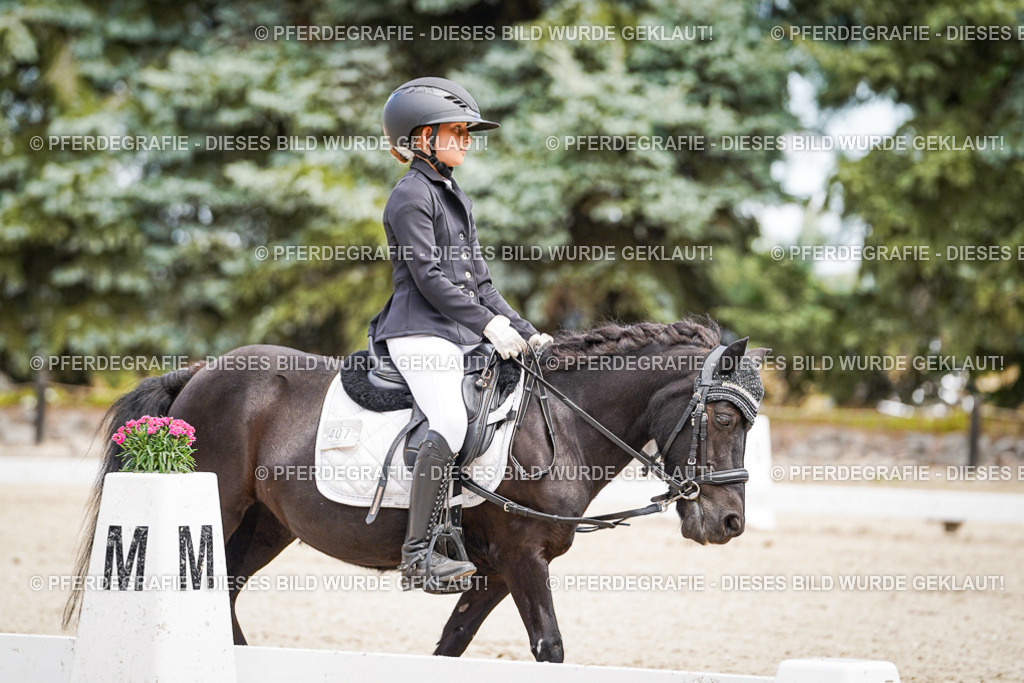 DSC02785 | Pferdegrafie