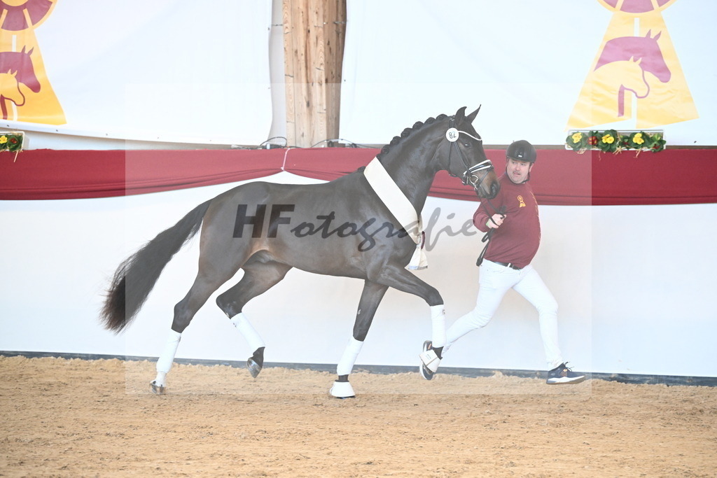 Kat.-Nr. 82 v. Von Und Zu_Berger_2243006 | hf-fotografie - Realizzato con Pictrs.com