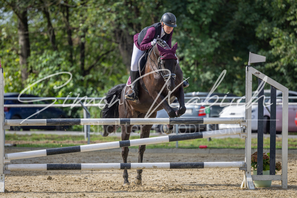 20260905-_3LI7303 | Tierfotografie Pferde, Hunde, Katzen, Haustiere.
Turnierfotografie Reitturniere, Reiten, Springreiten, Dressur in Hanau, dem Main-Kinzig-Kreis und dem Rhein-Main- Gebiet um Frankfurt
