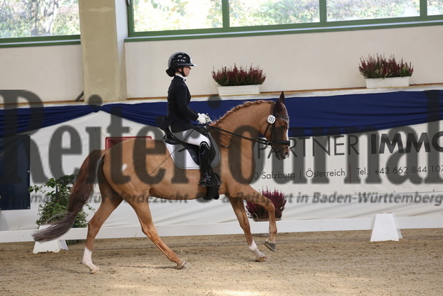 Ising_2025_Prfg.Nr.20_Pony-Dressurprfg.Kl.L_Kür_Lakeysha Eiselt_Crown Wishing Well (6) | Alle Fotos der Reiterjournal Fotografin Doris Matthaes im Reiterjournal Online-Fotoshop. - Realisiert mit Pictrs.com