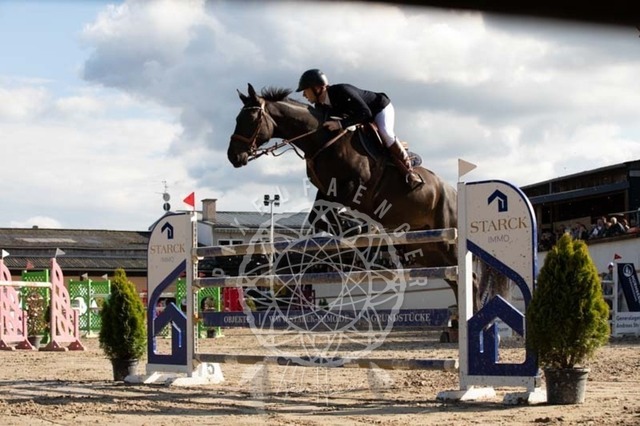 2B4A3750 | pixelfaenger - Realisiert mit Pictrs.com